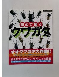 初めて飼うクワガタ