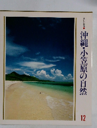 沖縄・小笠原の自然
