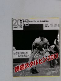 熱闘スタルヒン2013