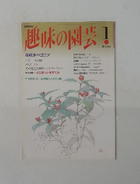 趣味の園芸1月号