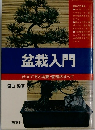 盆栽入門