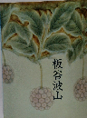 板谷波山
