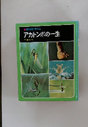 科学のアルバム  アカトンボの一生