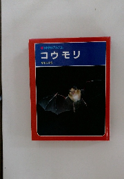コウモリ