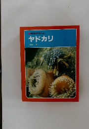 科学のアルバム　ヤドカリ