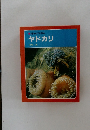 科学のアルバム　ヤドカリ
