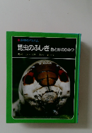 昆虫のふしぎ  色と形のひみつ