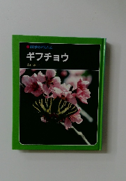 ギフチョウ