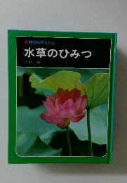水草のひみつ