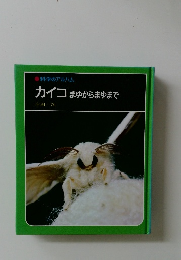 カイコまゆからまゆまで
