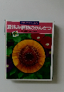 夏休み植物のかんさつ