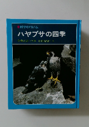 科学のアルバム  ハヤブサの四季