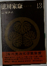 徳川家康 13  