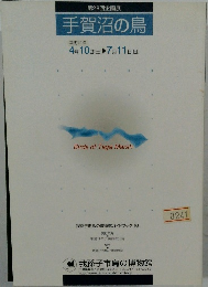 第28回企画展  手賀沼の鳥  平成11年