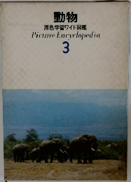 動物  原色学習ワイド図鑑  Picture Encyclopedia  3