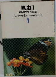 昆虫Ⅰ  原色学習ワイド図鑑  Picture Encyclopedia  1