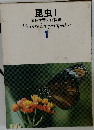 昆虫Ⅰ  原色学習ワイド図鑑  Picture Encyclopedia  1