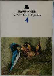 原色学習ワイド図鑑 4　鳥