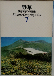 野草  原色学習ワイド図鑑　7