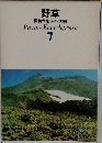 野草  原色学習ワイド図鑑　7