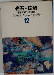 原色学習ワイド図鑑 12　岩石・鉱物