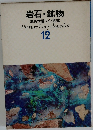 原色学習ワイド図鑑 12　岩石・鉱物