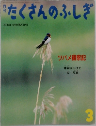 たくさんのふしぎ　2004年3月