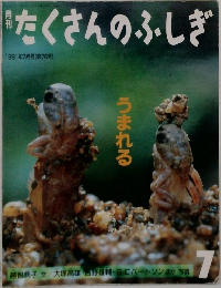 たくさんのふしぎ　1991年7月号　