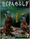 たくさんのふしぎ　1991年7月号　