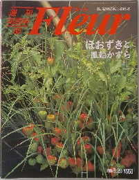 フルール　1996－6－20