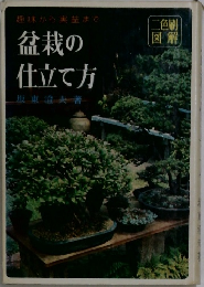 趣味から実益まで盆栽の仕立て方