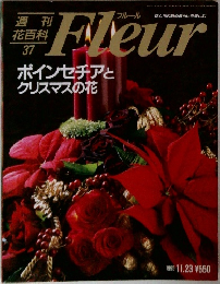 Fleur　１９９５年１１月号　