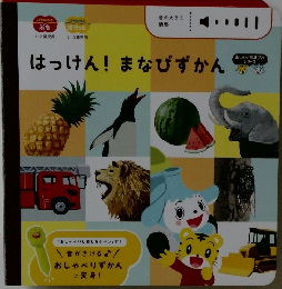 こどもちゃれんじ  ぷち　ぽけっと　はっけん！まなびずかん