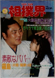 相撲界  1991年3月号