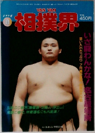 相撲界 1994  8