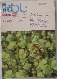 むし　2003年1月　No.383