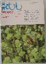 むし　2003年1月　No.383