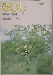 月刊　むし　1990　1