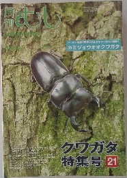 月刊むし　2000年8月号