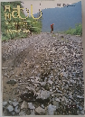 むし　1986年8月号　No.186