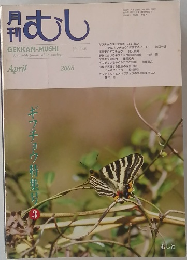 むし　2008年4月号　No.446