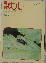 月刊むし　1991年8月号