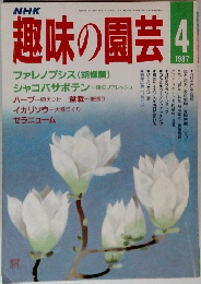 趣味の園芸　1987年4月号