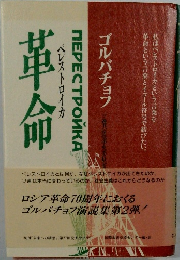 革命　ペレストロイカ　