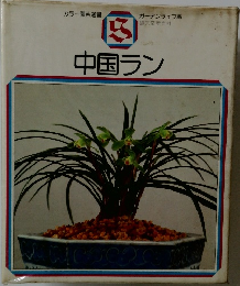 中国ラン