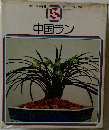 中国ラン
