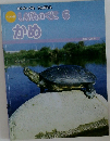 かんきょうをかんがえる　しぜんのくにかめ　6月号