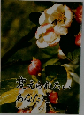 変えられたいあなたに