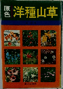 原色洋種山草