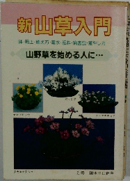 新山草入門